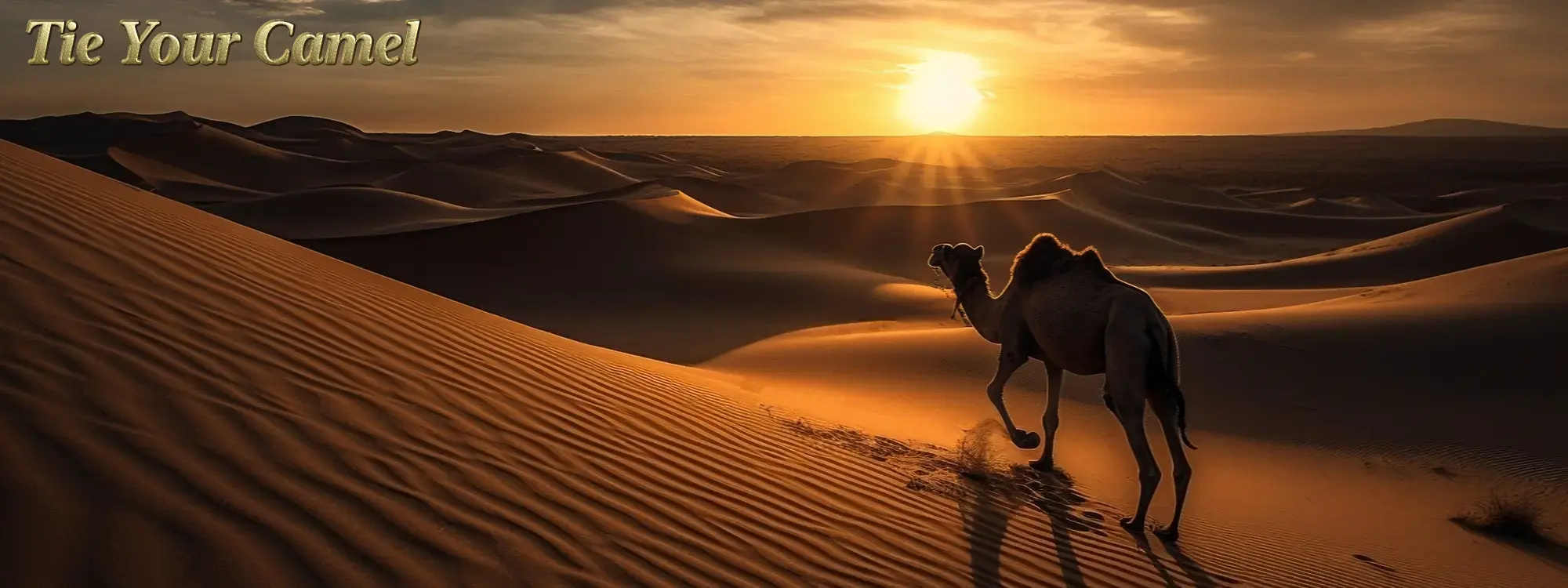 Top Of The World header image